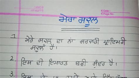 school life status in punjabi|my school essay in punjabi.